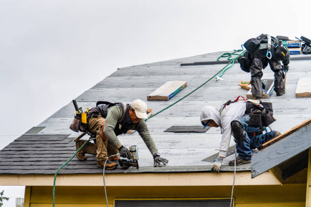 Professional Gutter Installation technician working in Rawlings, VA